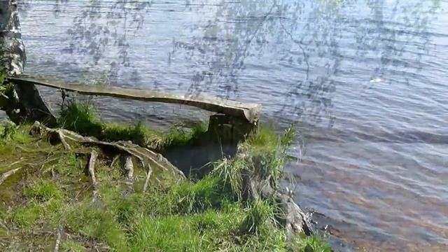 вспоминая лето в Токсово смотреть онлайн