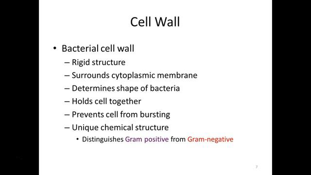 211 Microscopy and Cell Structure Part 1 SP16 смотреть онлайн