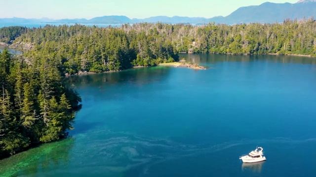 Музыка лечит сердце и сосуды? Успокаивающая музыка восстанавливает нервную систему,расслабляющая #1 смотреть онлайн