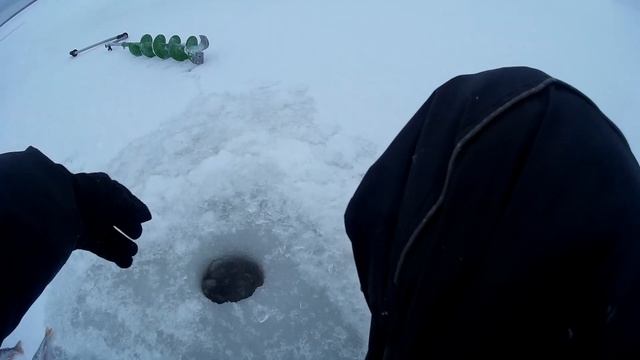 Ловим окуня на блесну. Зимняя блесна. Как смена горизонта ловли , влияет на клёв. смотреть онлайн