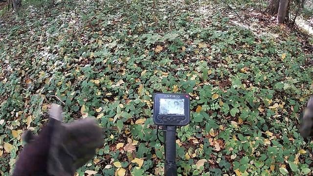 Настройки для Nokta Makro Anfibio Multi