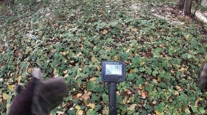 Настройки для Nokta Makro Anfibio Multi