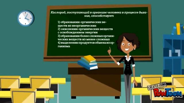 Обмен веществ. Разбор заданий. смотреть онлайн