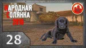 Сталкер. Народная солянка 2016 # 028. Щенок для Акима.