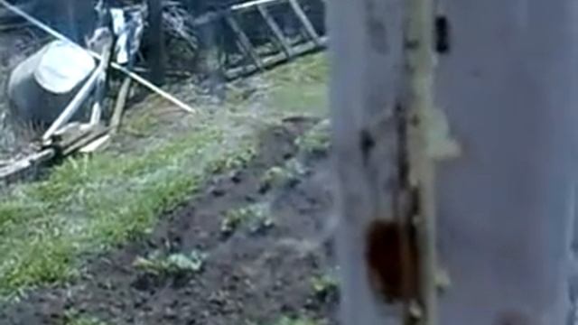 Теплица на даче смотреть онлайн