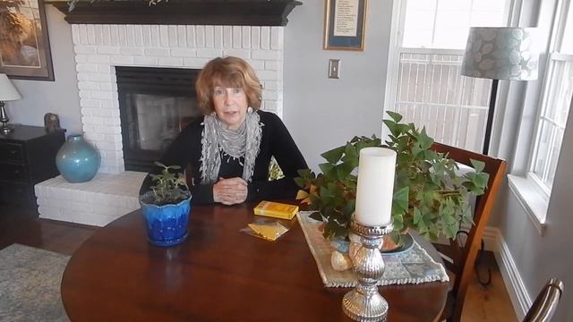 House Plant Care For Beginners 🍃