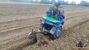 Вспашка МОТОБЛОКОМ МТЗ с адаптером. Осень 2021