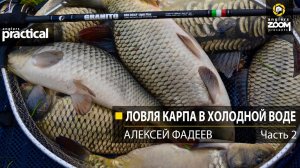 Ловля карпа в холодной воде. Алексей Фадеев.  2 часть