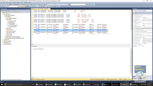 DATA ANALYSIS - Part 2 - SQL INSERT RECORD смотреть онлайн