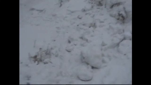Заброшенный парк ( вторая камера) 1 часть смотреть онлайн