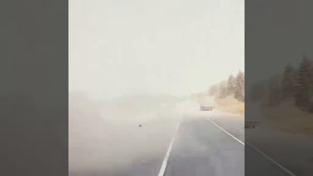 🌪️ трасса М7 лето смотреть онлайн