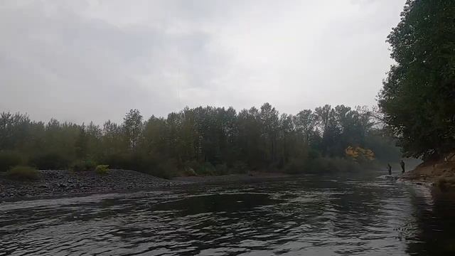 РЫБАЛКА НА ЛОСОСЬ - КИЖУЧ В АМЕРИКЕ. РАЗЪЯСНЕНИЯ К ПЕРВОМУ ВИДЕО. смотреть онлайн