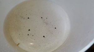 Gaz34.ru NAVIEN растет и падает давление. Лечим.