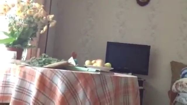 айпад 4 смотреть онлайн