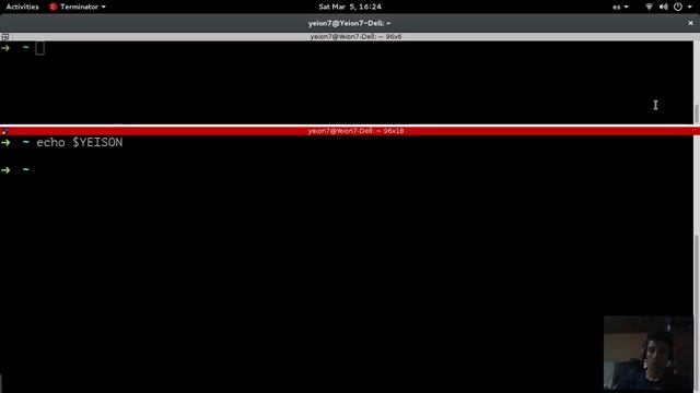 Variables de entorno en Linux смотреть онлайн