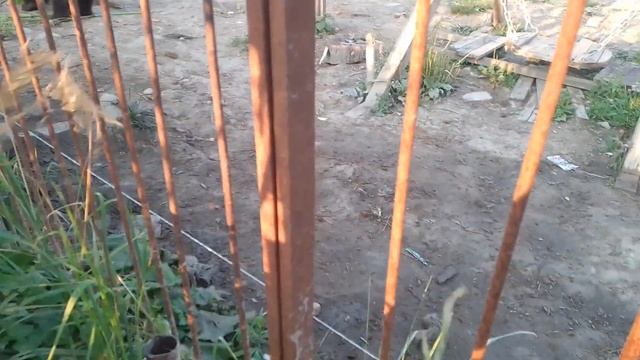 05.08.22. вечер коротенько. смотреть онлайн