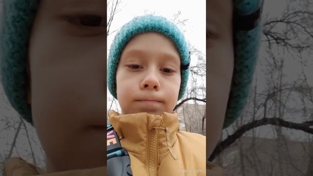 Мы гуляем со своей собакой! (Family Pizza)