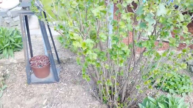 ДАЧА В ГЕРМАНИИ-АПРЕЛЬ-2019...DACHA IN GERMANY-APRIL-2019. смотреть онлайн