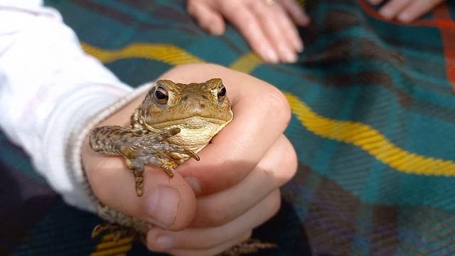 An ode to Captain Toad, the Sunday poem. Read by Meriel Cairns and written by Miranda McDonald смотреть онлайн