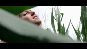 " Поля кукурузы" УЖАСТИК. Просьба СЛАБОНЕРВНЫМ НЕ СМОТРЕТЬ!