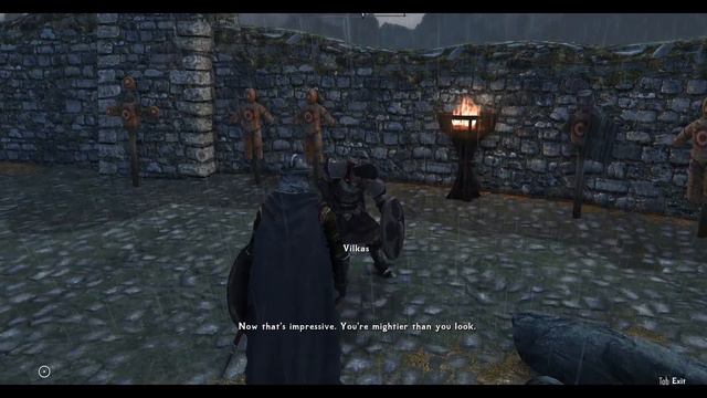 Skyrim SE - Vilkas Bug Fix смотреть онлайн