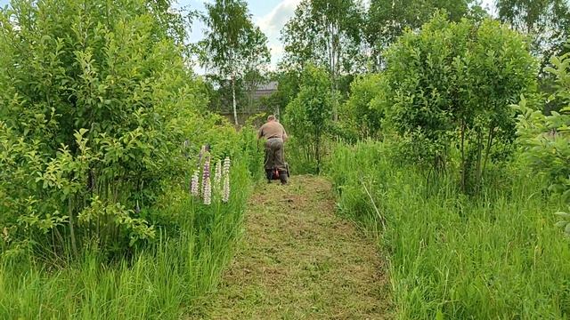 #КФХ и #ЛПХ благодаря КООПЕРАТИВУ получили в пользование # #косилка #мульчер #patriot RX900