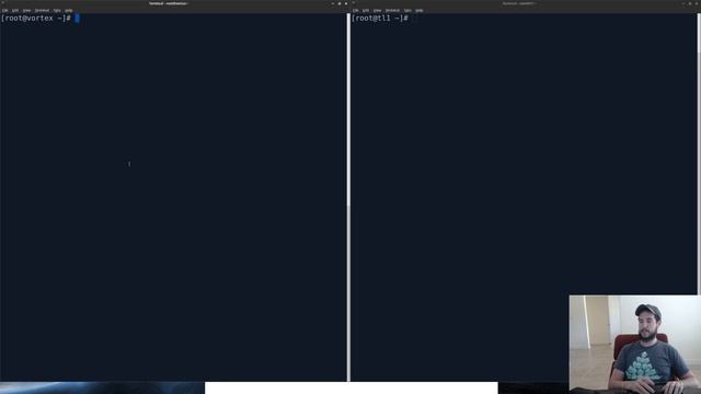 Use Bash to remotely create a Reverse Shell смотреть онлайн