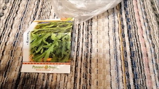 Как легко проверить семена на всхожесть смотреть онлайн