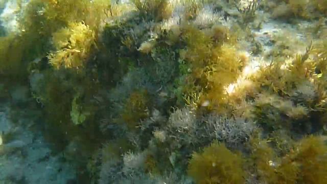 UNDER THE WATER LANDA BEACH-CYPRUS1 смотреть онлайн