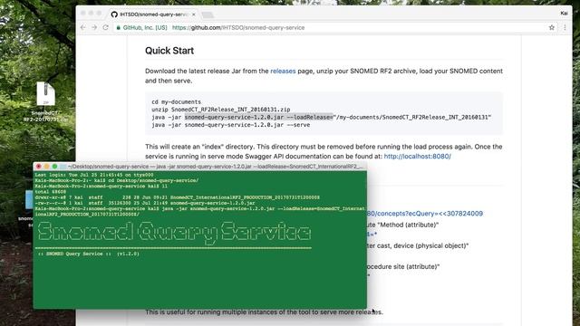 SNOMED Query Service (v1.2.0) Demo смотреть онлайн