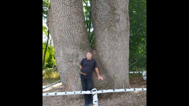 Каза́нская — станица в Ростовской области смотреть онлайн