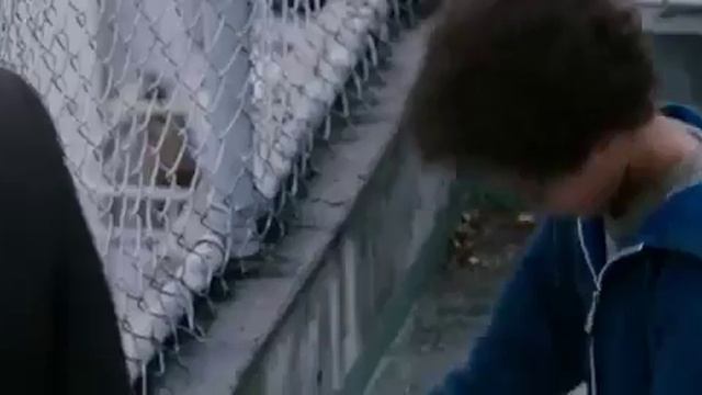 Если есть мечта оберегай ее! Поставил цель добейся смотреть онлайн