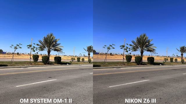 OM System Om-1 Mark II Vs Nikon Z6 III Camera Test Comparison смотреть онлайн