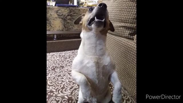 6 лет Тарзану смотреть онлайн