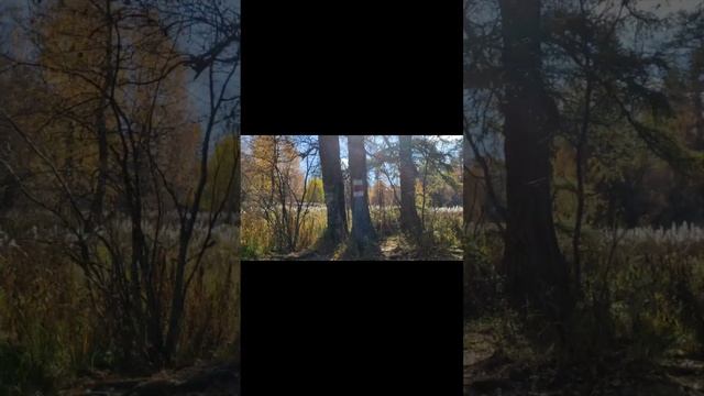Виды Иремеля смотреть онлайн