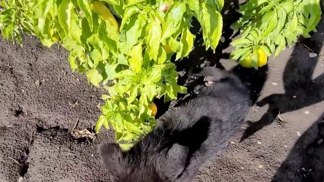 Воспитываю Ребёнка ?..@-mylife9003