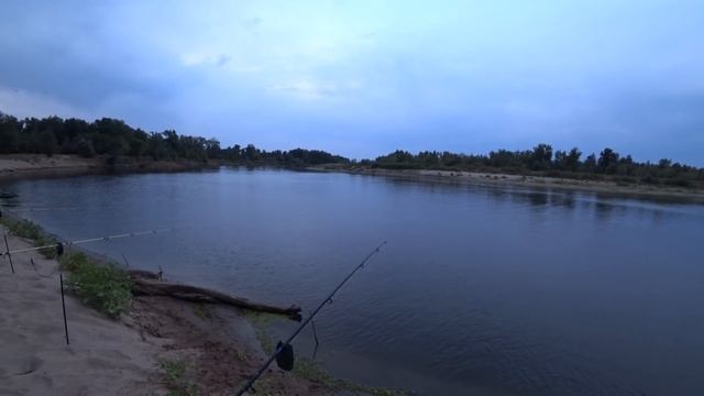 СЕКРЕТ ДОННОЙ СНАСТИ! Рыбалка на Ахтубе! Рыбалка на сазана с ночевкой! Ахтуба рыбалка!