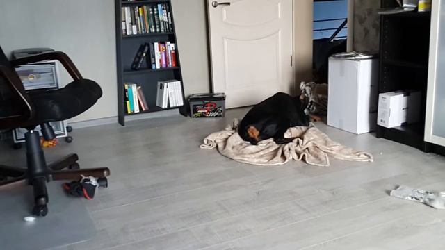 Вита и Ева (29 января 2014) смотреть онлайн