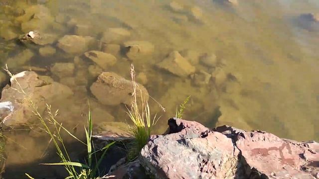 Озеро Южное Красноярский край, Рыбинский Район смотреть онлайн