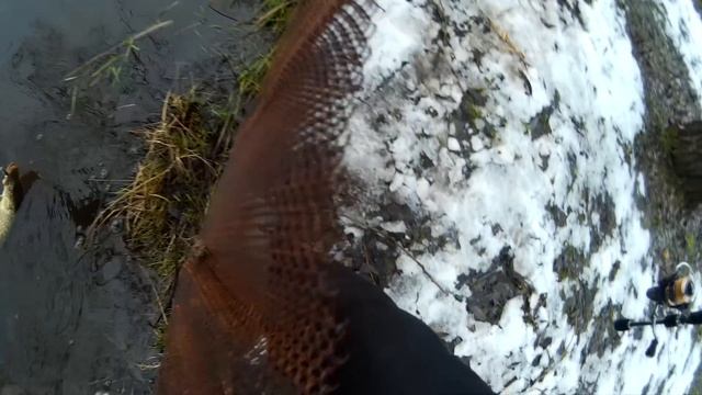 Ловля щуки зимой на джиг смотреть онлайн