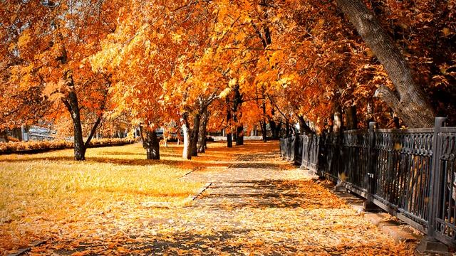 Футаж Осенний 3 смотреть онлайн