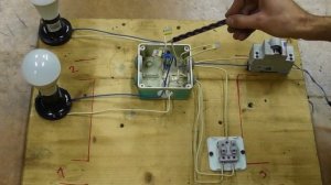 Подключение двух лампочек (светильников). С помощью Двойного Выключателя