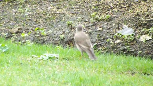 測光センサー故障の映像　Fujifilm Finepix SL300 смотреть онлайн