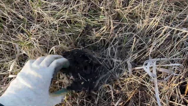 Копаем чермет с металлоискателем, 88кг за 2 часа, коп2023, Tx-850, поиск монет и чермета