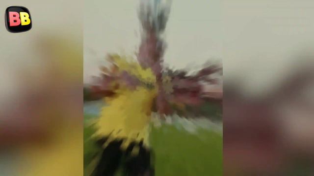 АРШАВИН ПРО ТРАНСФЕР ПРОКОПА