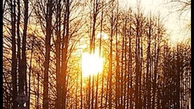 В Жуковский Жаворонок #стихиовесне #поэты19века смотреть онлайн