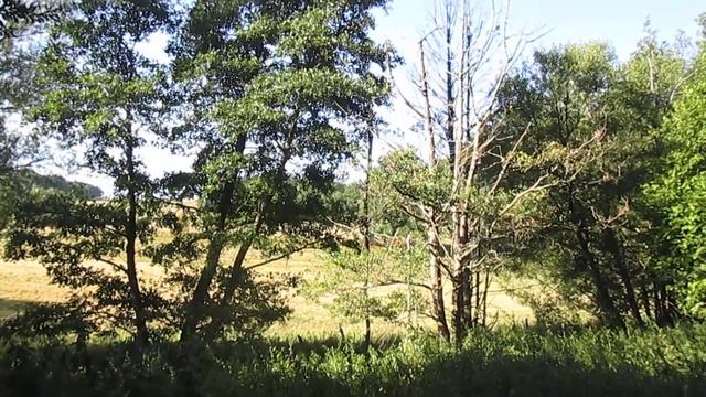 Eifel - Ein Sommer in der Vulkaneifel - Germany - Allemagne - Alemania - Alemanha - Германия смотреть онлайн