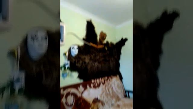 Квартира в центре смотреть онлайн