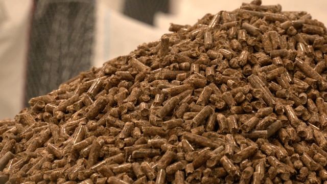 В Мозыре открыли пеллетный завод смотреть онлайн