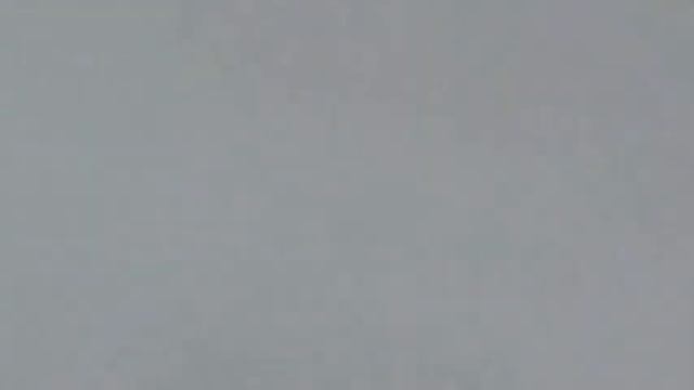 Охота на куницу.   Декабрь 2020г.    2